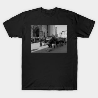 Horses eating hay from hay bale at Cathedral of Florence T-Shirt